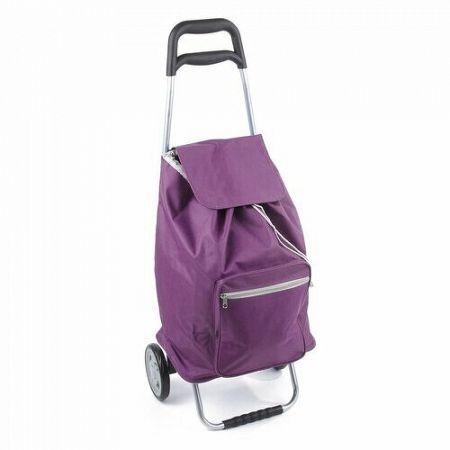 Aldo Nákupná taška na kolieskach Cargo, fialová